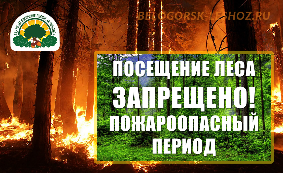 Охрана лесов от пожаров